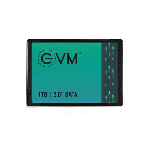 EVM 1TB EVM25 Internal SATA Solid State Drive price in hyderabad, telangana, nellore, vizag, bangalore